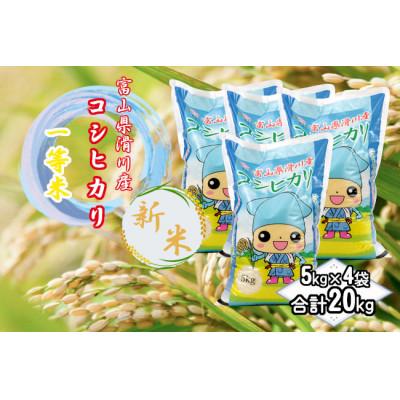 ふるさと納税 滑川市 滑川産コシヒカリ(令和7年産新米/精米)20kg