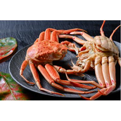 ふるさと納税 京丹後市 蟹の匠　魚政の内子外子が美味! 茹でたて セイコガニ(セコ蟹)(香箱ガニ)(こっぺ)特大サイズ 5匹 |  | 01