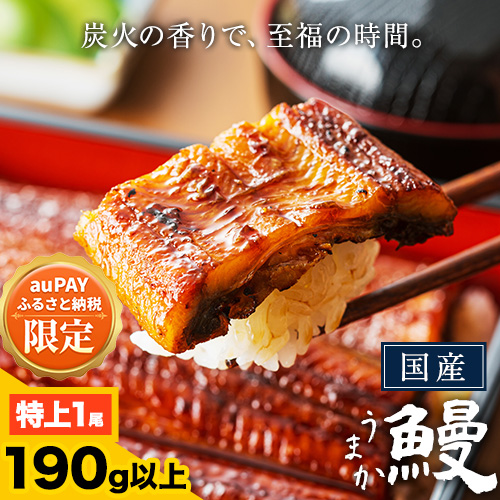 【auPAYふるさと納税限定】うなぎ 特上 190g以上 ご家庭用 国産 ランキング 獲得 鰻 丑の日 真空パック おすすめ うなぎの蒲焼 《30日以内に出荷予定(土日祝除く)》 有頭 ふるさとのうぜい1尾 簡易包装 不揃い 規格外 ウナギ unagi 蒲焼 秋 旬 配送時期 冷凍