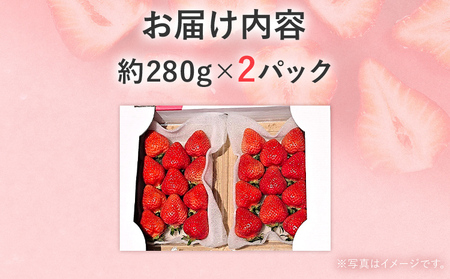【2026年2月上旬より順次発送】 あまおうDX 約280g×2パック いちご 苺 フルーツ 果物 くだもの 福岡県 福岡 九州 グルメ お取り寄せ
