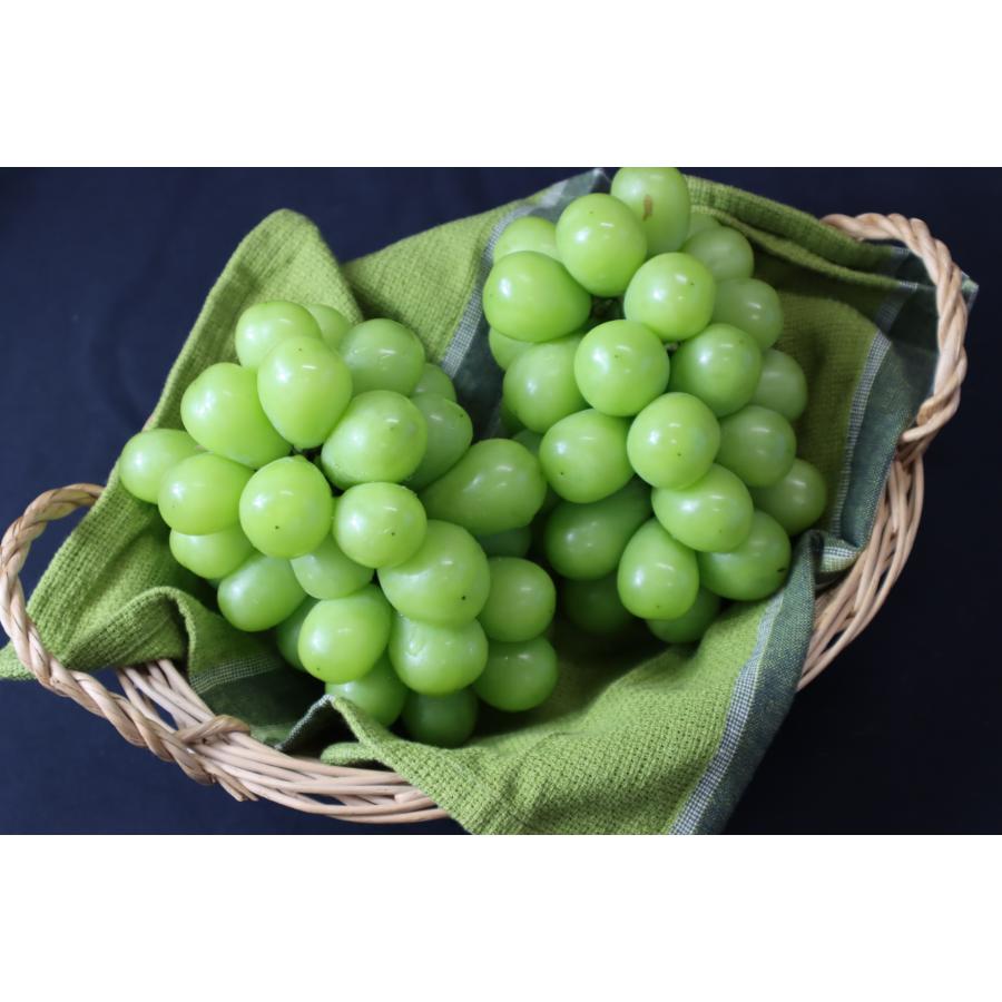 ＜丸松青果＞シャインマスカット特秀品1.4kg（2～3房） 桐箱入