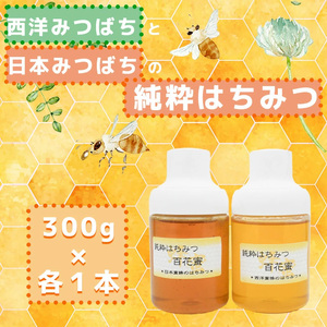 GD006_【2025年7月以降発送】日本蜜蜂の純粋はちみつ＊　３００ｇ×２