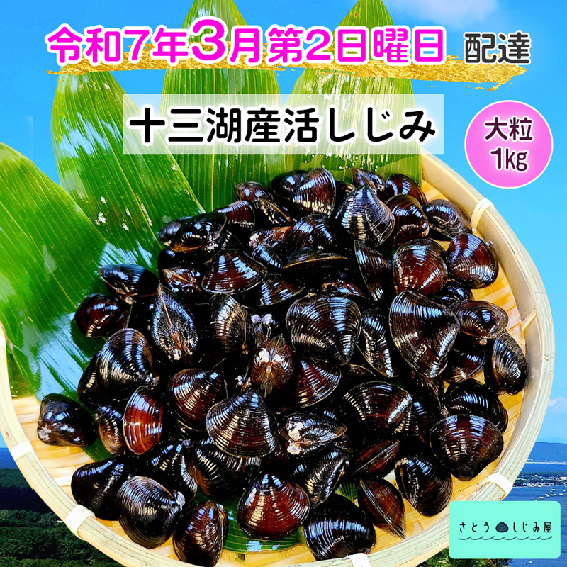 [令和7年3月第2日曜日配達] さとうしじみ屋の十三湖産活しじみ(大粒1kg)[冷蔵]｜十三湖産 青森 津軽 つがる しじみ みそ汁 味噌汁 しじみ汁 活しじみ 冷蔵 [0601]