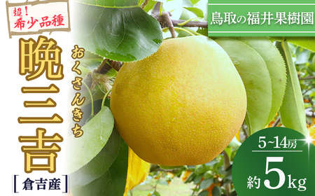 【希少梨】 晩三吉 5kg（5〜12玉） 倉吉産 福井果樹園 梨 フルーツ