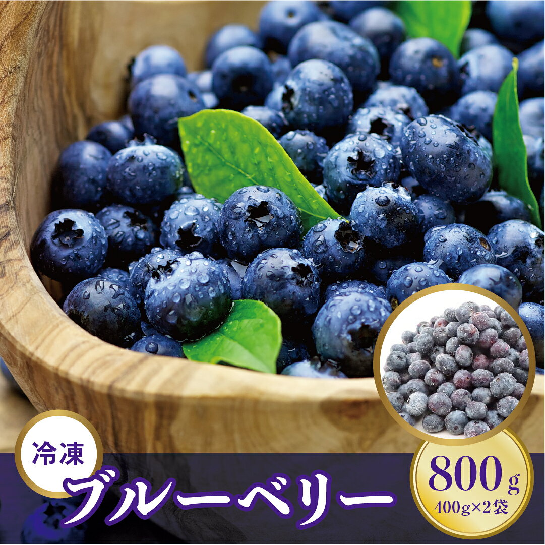 【ふるさと納税】冷凍 ブルーベリー 800g （400g 2パック）小分け 大容量 フルーツ 果物 くだもの 冷凍フルーツ 手摘み EM栽培 新鮮 ベリー お菓子作り ジャム ヨーグルト スムージー スイーツ おやつ 目の健康 ギフト 贈答 プレゼント 農家直送 福島県 田村市 田村