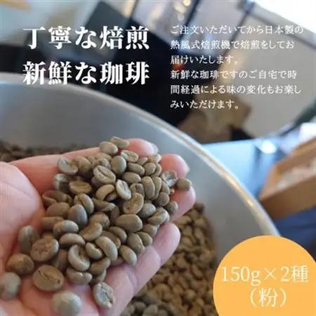 熊乃珈琲 スペシャルティコーヒー【浅煎り・中煎り】(粉)【1624368】