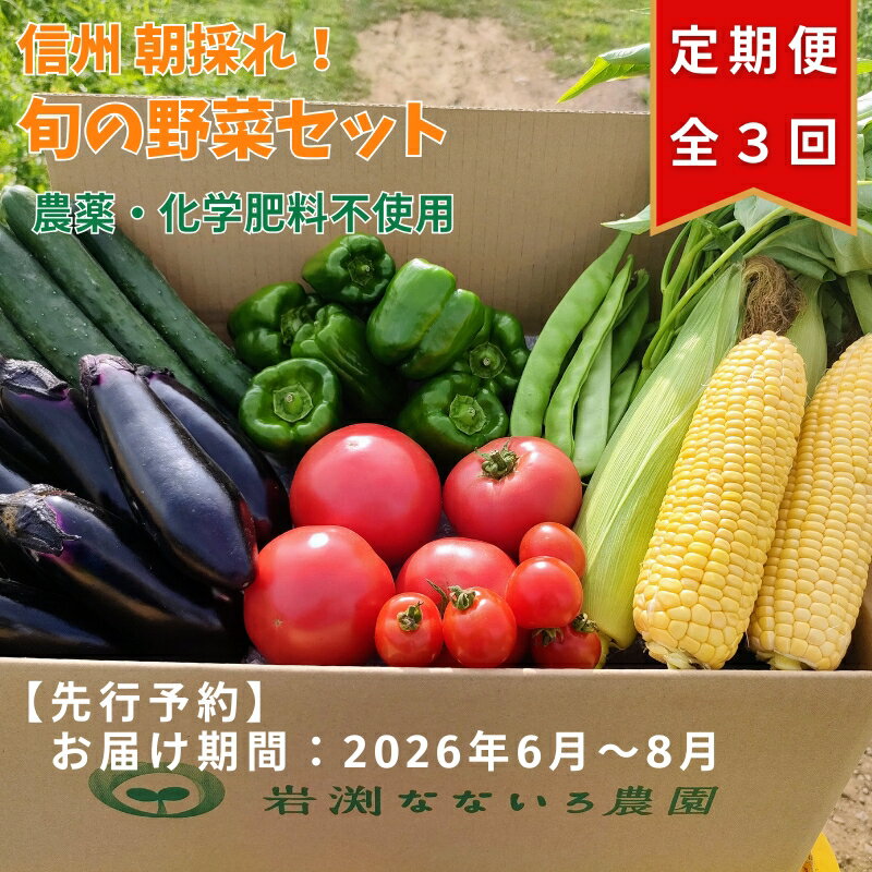 【ふるさと納税】【先行予約・定期便全3回〈出荷時期:2026年6月～8月出荷〉】朝採れおまかせ旬の高原野菜 7種セット (北海道・沖縄県・離島は配送不可)　長野県　信州　栽培期間中　無農薬　産地直送　季節　旬　岩渕なないろ農園 旬彩