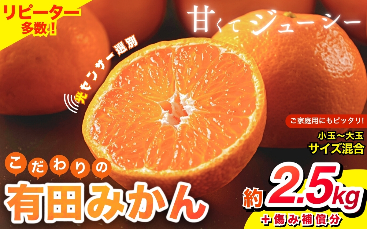 【2024年12月発送】【家庭用】こだわりの有田みかん 約2.5kg＋75g(傷み補償分)  ※北海道・沖縄・離島配送不可 みかん ミカン 有田みかん【nuk159-2A】