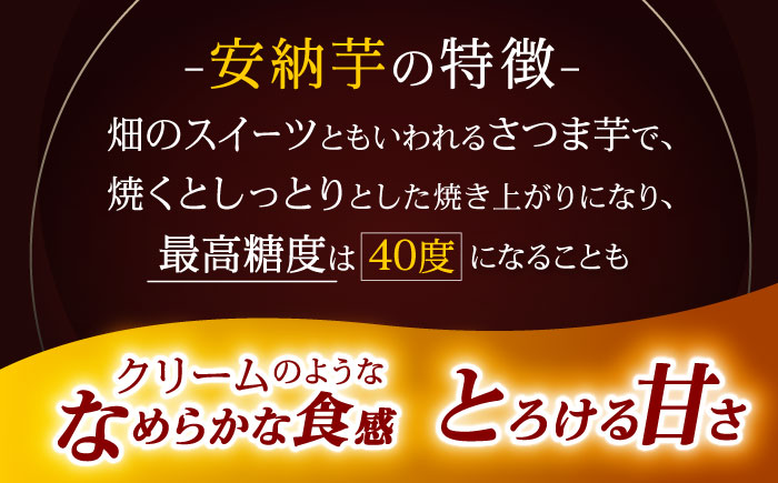 ※【2025年11月より順次発送／先行予約】栽培期間中農薬不使用 安納芋 5kg / いも イモ 芋 さつまいも さつま芋 サツマイモ 安納芋 スイーツ / 諫早市 / ふるさと有明ファーム [AHA