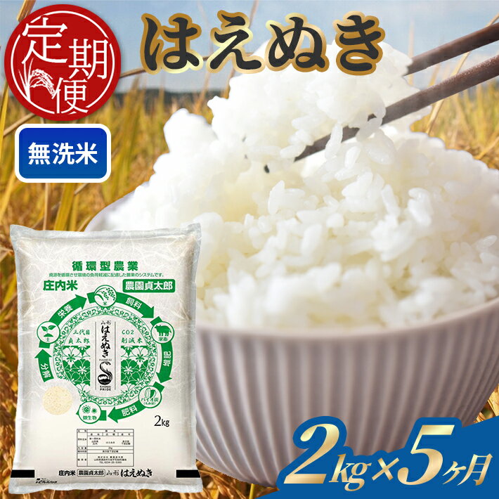 【ふるさと納税】≪5ヶ月定期便≫ 無洗米 はえぬき 2kg×5ヶ月連続 計10kg 令和7年産 山形県産 ご希望期間の毎月下旬にお届け 白米 庄内米 米 ごはん ご飯 一人暮らし 少人数 小分け 酒田市 庄内 山形県 東北 定期便 5回