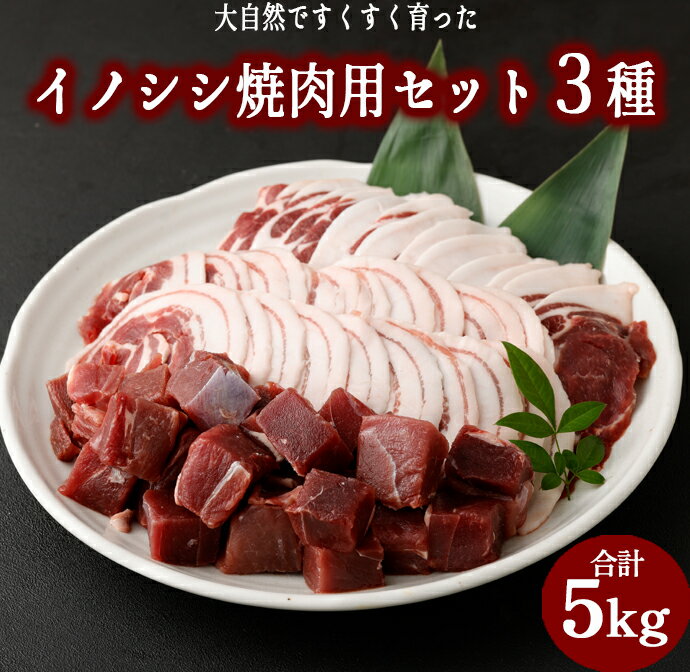 【ふるさと納税】イノシシ焼肉用セット 合計5kg 3種 ( ローススライス バラスライス モモ サイコロカット ) ジビエ イノシシ いのしし 肉 猪肉 スライス サイコロカット 焼肉 BBQ 冷凍 天城町産 鹿児島 九州 国産 送料無料 AI-20
