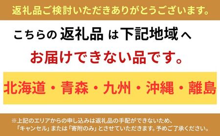 【10月～4月出荷】ます寿司 富山 ますの寿し 2段 鱒寿司 ますのすし 鱒ずし 二重 ますの寿司 魚介 海鮮 お寿司 寿司 食品 水産加工品 魚 魚介類 海産物