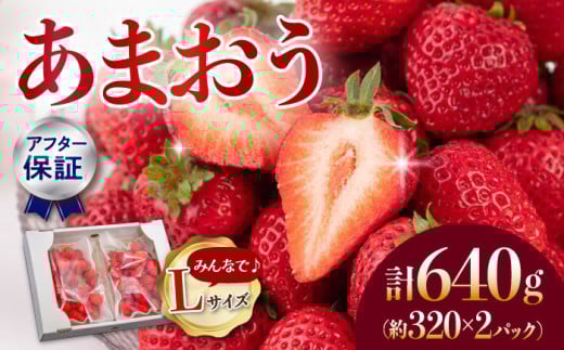 【アフター保証】あまおう Lサイズ 約320g×2パック【1月上旬より順次配送】 ▼博多あまおう  福岡  博多 いちご フルーツ イチゴ 苺 あまおう 贈り物 果物 福岡県 福岡県産 桂川町/高嶋園芸[ADAT003]