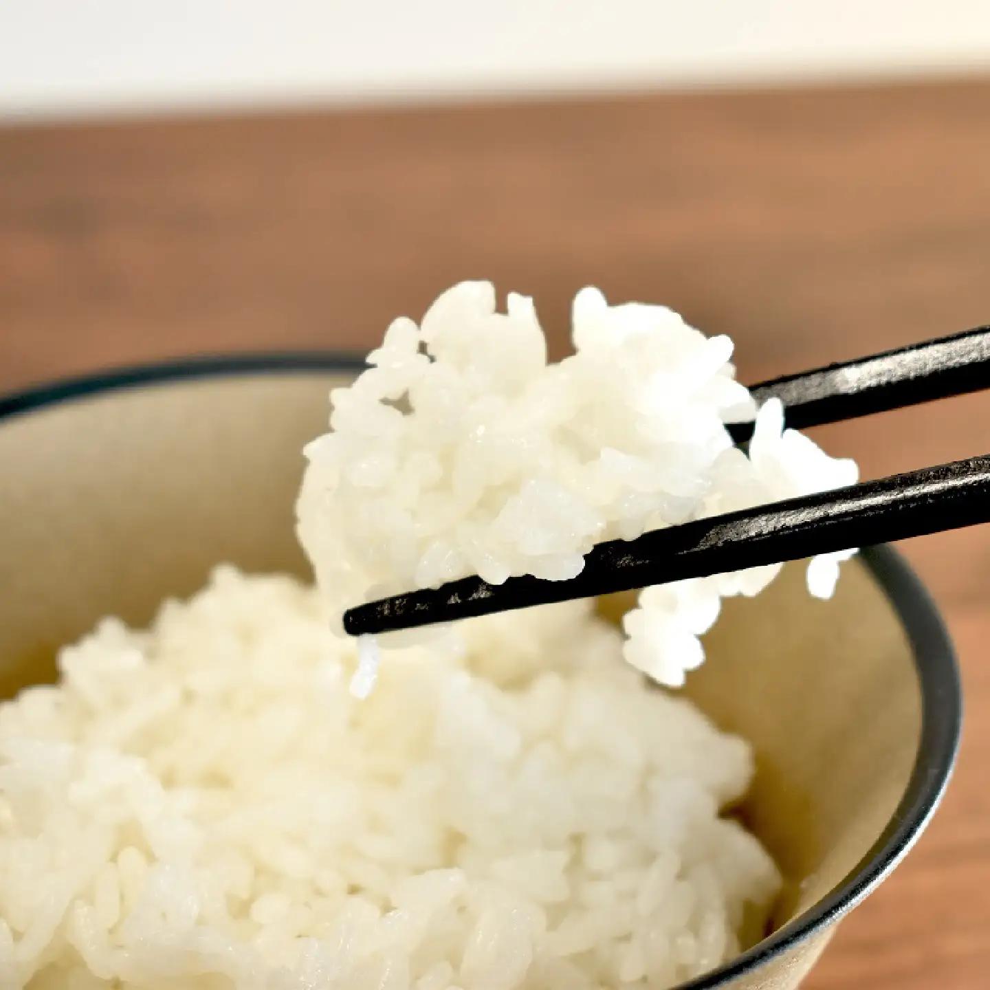 【6回定期便】 《 先行予約 》 きぬひかり 京丹波町産 5kg 6カ月定期便 合計30kg 令和8年産米 精米 お米 京都 丹波 キヌヒカリ [072OK005R]