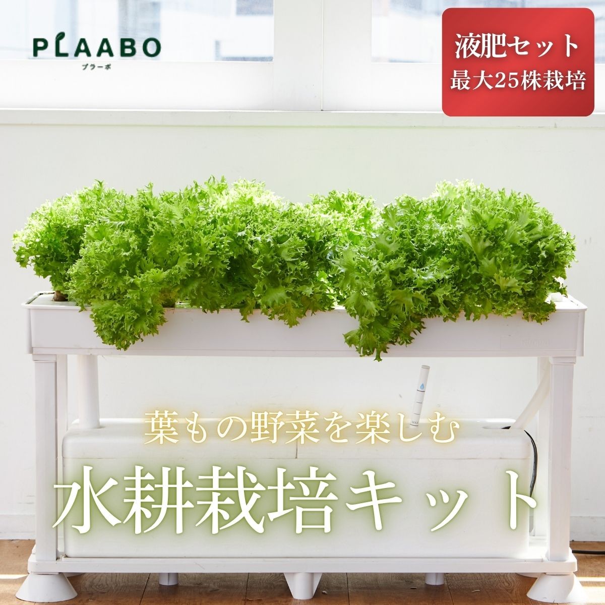 
                  〈高評価〉ホームハイポニカPLAABO プラーボ 水耕栽培キット 25株同時栽培 2段構造 葉物野菜 レタス ハーブ 室内栽培 家庭菜園 兵庫県丹波篠山市
                