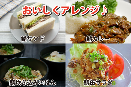 鯖味付缶詰 【本醸造醤油仕立て】 6缶 サバ缶 おつまみ 保存食 [A-003056]