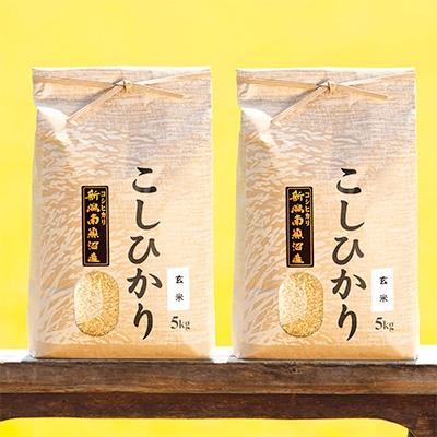 ふるさと納税 南魚沼市 【毎月定期便】南魚沼産コシヒカリ(玄米)【5kg×2袋】全9回 | 