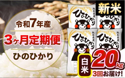 【3ヶ月定期便】新米 令和7年産  定期便 ひのひかり20kg 《お申込み翌月から出荷》令和7年産 熊本県産 ふるさと納税 白米 精米 ひの 米 こめ ふるさとのうぜい ヒノヒカリ コメ 熊本米 ひのもり