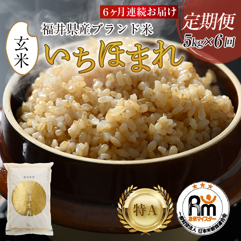 【令和7年産・新米】定期便6回 いちほまれ 玄米 5kg×6回（計30kg）《新鮮な高品質米をお届け！》／ 福井県産 ブランド米 ご飯 [aw064-h004]