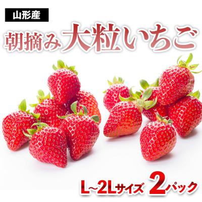 ふるさと納税 山形市 真っ赤に育った冬の贅沢!朝摘み大粒いちご☆ FZ23-439