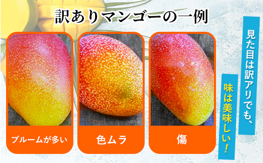 【訳あり】完熟マンゴー ２L～３L×５玉（パック）【濃厚 高級 宮崎 果物 フルーツ 贈答 ギフト 甘い 先行受付 送料無料】
