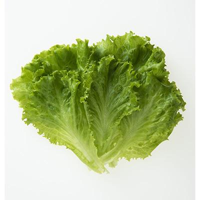 ふるさと納税 高山市 【毎月定期便】飛騨高山野菜『おおごっつぉ』詰合せ全6回 TR3646