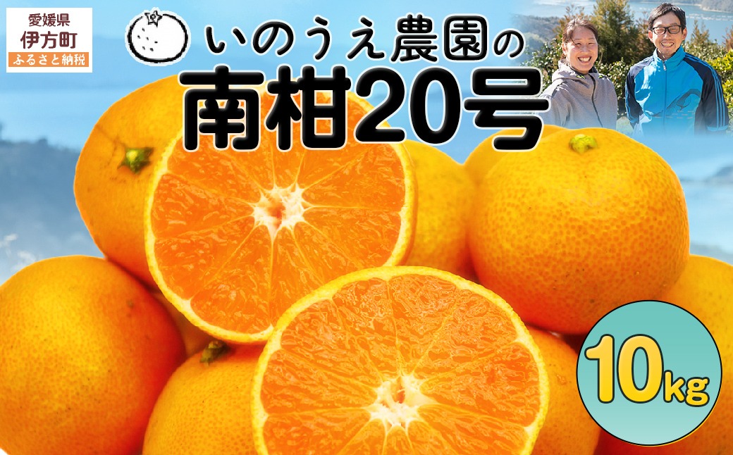 【先行予約】いのうえ農園の南柑20号 10kg ※離島への配送不可（2026年12月上旬より順次発送） IKTAI007