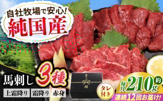 【全12回定期便】『純国産』熊本の味 馬刺し お試し 3種 セット 計約210g（2〜3人前）上霜降り 霜降り 赤身 タレ付 馬さし 馬肉 おためし 熊本 合志 おろし生姜付き 冷凍 定期【有限会社 九州食肉産業】 [AYCN072]