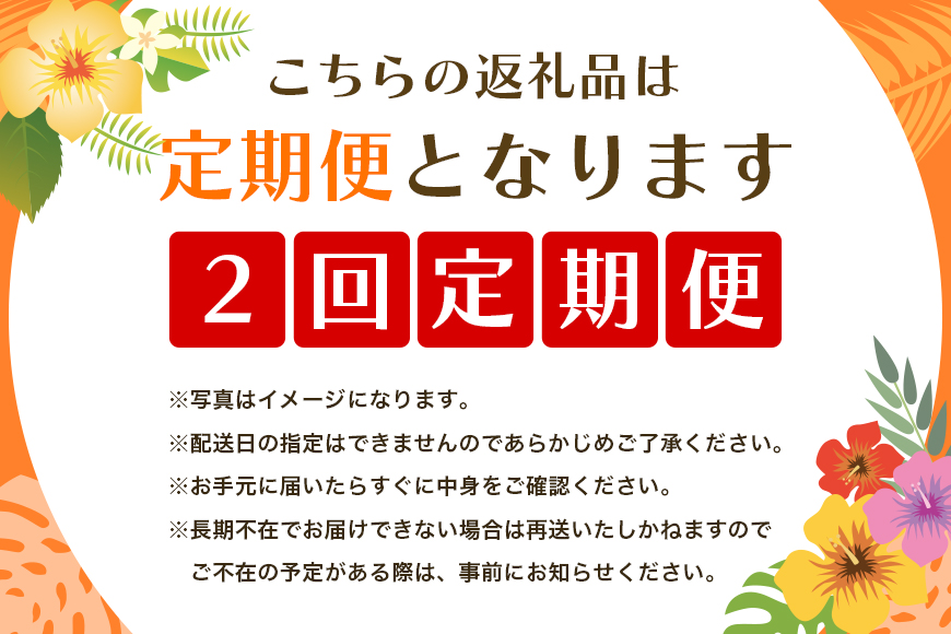 【定期便全2回】沖縄フルーツ定期便 2回 スナックパイン マンゴー