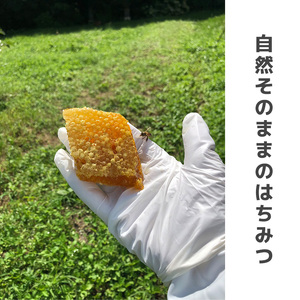 GD001_日本蜜蜂の純粋はちみつ＊　３００ｇ×２