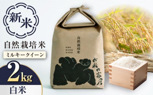 【新米：令和6年産】自然栽培 ミルキークイーン 2kg 白米　滋賀県長浜市/株式会社お米の家倉 [AQCP002] 米 お米 白米 新米 2kg