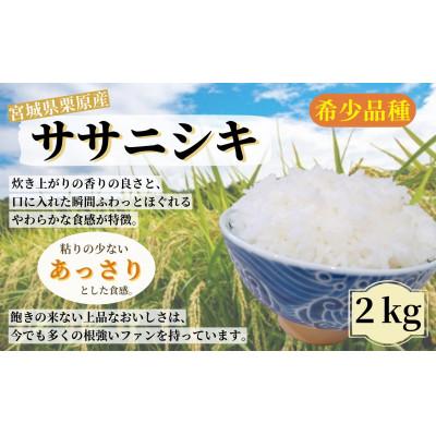 ふるさと納税 栗原市 【令和7年産】宮城栗原産 ササニシキ 白米2kg (2kg×1袋)
