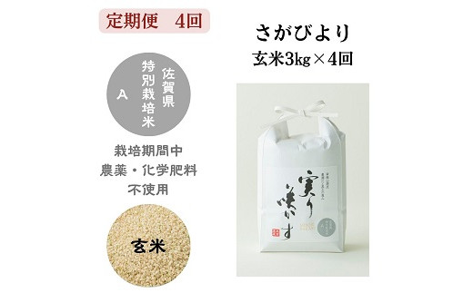 
【定期便4回】「実り咲かす」農薬・化学肥料不使用『さがびより』玄米3kg（計12kg）：B430-005
