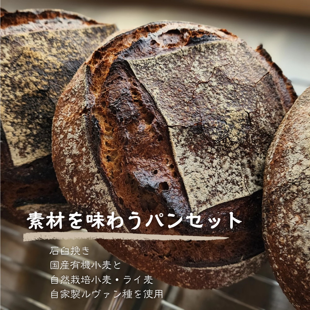 No.348 【国産有機小麦と自然栽培小麦・ライ麦使用】素材を味わうパンセット