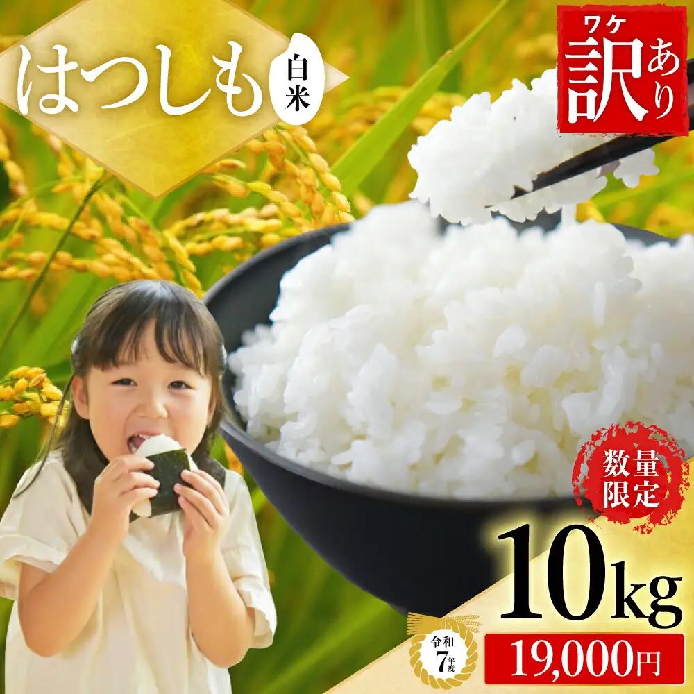 R8年産 ハツシモ米 【白米】 10kg【10営業日以内発送】