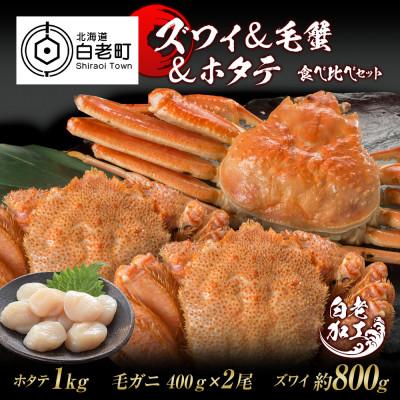 ふるさと納税 白老町 ズワイ姿 &amp; 毛蟹 &amp; ホタテ 食べ比べ セット BM073