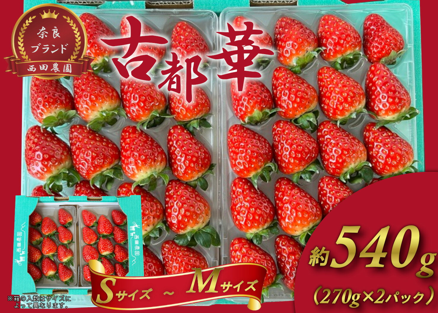 【ふるさと納税】古都華 S〜Mサイズ 270g×2パック ／ 西田農園 ブランド いちご 苺 ことか フルーツ 果物 奈良県 葛城市