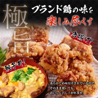 みやざき地頭鶏 計1kg 鶏肉 チキン 地頭鶏 塩味 味付き 国産 おかず 食品 加工品 惣菜 真空パック おつまみ お弁当 唐揚げ 親子丼 ブランド鶏 簡単調理 焼肉 BBQ 鉄板焼き お祝い 記念