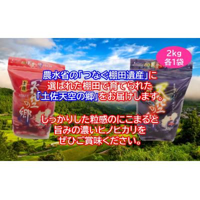 ふるさと納税 本山町 【2ヵ月毎定期便】土佐天空の郷 2kg食べ比べセット定期便 隔月お届け 全6回 |  | 02