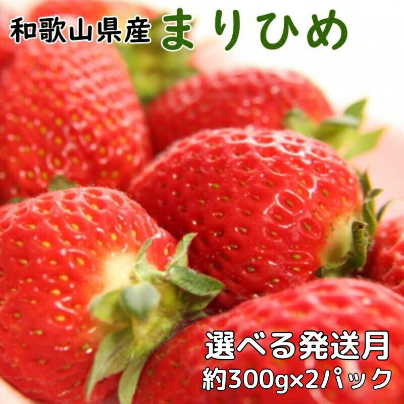 【ふるさと納税】 和歌山県 産ブランド いちご 「まりひめ」約300g×2パック入り 【選べる発送月】 （お届け日指定不可）/ イチゴ 苺 甘い オリジナル 甘味 濃厚 ジューシー ※北海道・沖縄・離島への配送不可