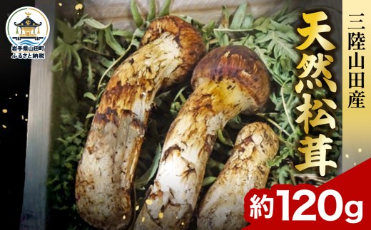 松茸 約120g 国産 岩手 山田産 きのこ キノコ 秋の味覚 野菜 冷蔵