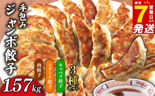 ＼最短7営業日以内発送／ ギョーザ  セット 3種 小分け 1.57kg ( 15個 × 3P ) ジャンボ 1個35g 解凍不要 肉餃子 / スタミナ餃子 / キャベツ餃子 冷凍 ビッグ 手包み たっぷり 大満足 ぎょうざ 餃子 ギョウザ 千葉県 旭市 株式会社松央ミート mom004