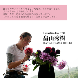SL0261　クリスマスの薔薇のブーケ「メリークリスマスブーケ」2025