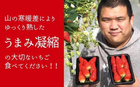 いちご農園のブランド苺【リッチゴ】(冷凍いちご×1kg)