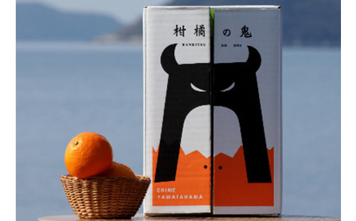 八幡浜産・不知火10kg【訳あり】【C56−40】【配送不可地域：離島】【1479305】