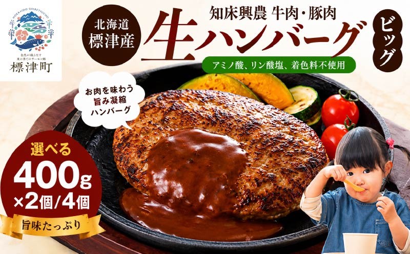 
                  北海道産 生ハンバーグ ビッグ 選べる 800g / 1.6kg ( 400g × 2~4個 セット ) 冷凍 手作り ハンバーグ 国産 保存料不使用 牛肉 豚肉 ギフト お弁当 アミノ酸不使用 リン酸塩不使用 着色料不使用 牛 豚 肉 肉加工品 加工品 国産肉 国産豚 国産牛 はんばーぐ hannba-gu 冷凍食品 ロコモコ ロコモコ丼 メイン 夕飯 便利 パック 北海道 標津町
                