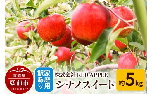 【26年10月下旬～発送】りんご【訳あり】家庭用 シナノスイート 約5kg  [アップル おいしい シナノ シナノスイート りんご 黄色 果実 果物 美味 林檎]