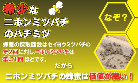 はちみつ 日本蜜蜂 百花蜜 1,000g C210-014 はちみつ 国産