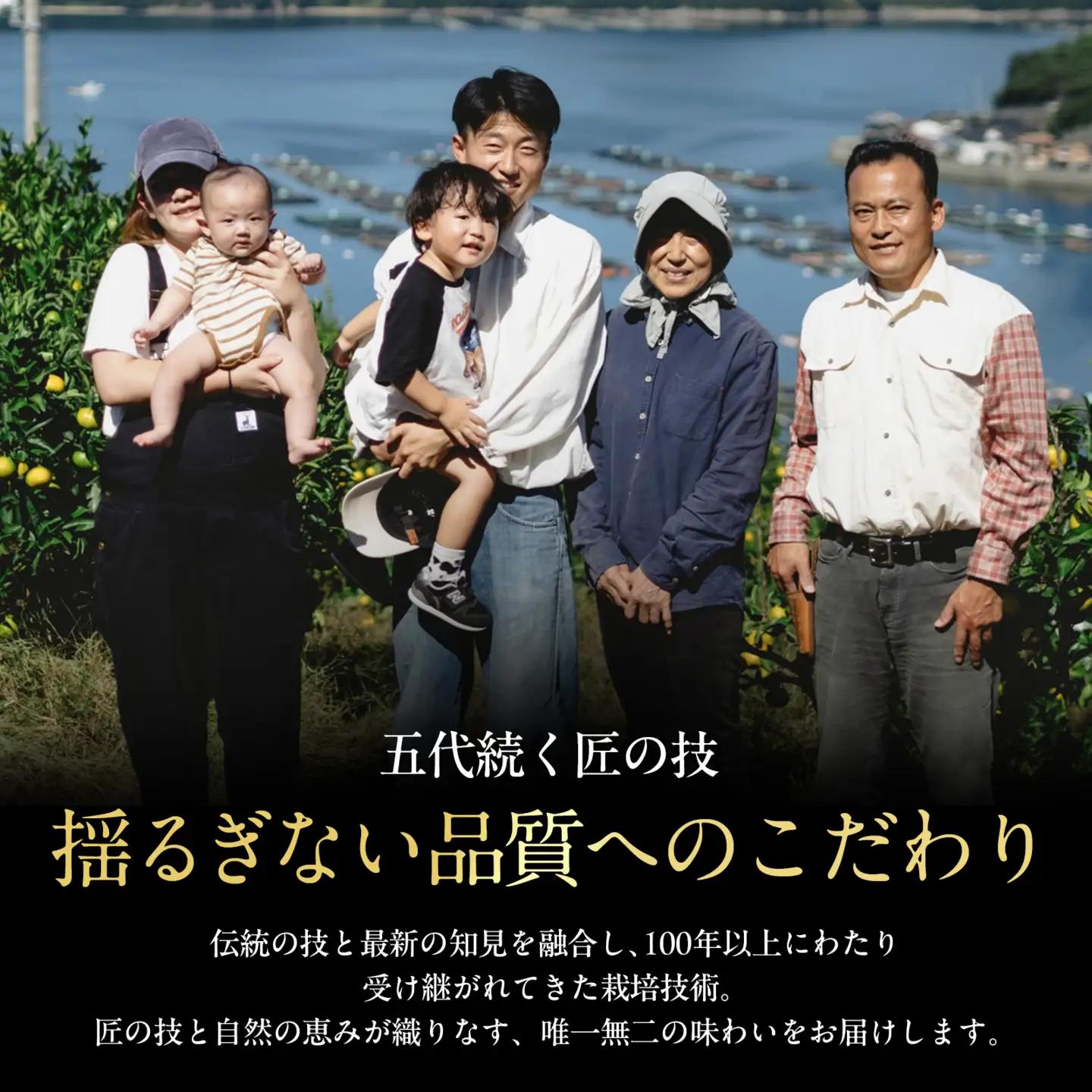 【先行受付】訳ありだけど美味しさそのまま【訳あり】せとか 2.5kg【A70-155】【1707145】 YWTK154