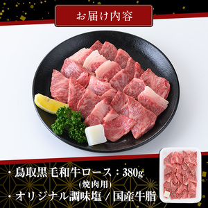 鳥取黒毛和牛ロース焼肉用(380g)国産 牛肉 黒毛和牛 ビーフ 赤身 ロース スライス 冷凍 焼肉 焼き肉 BBQ バーベキュー ギフト 贈答【sm-AP006】【いろは精肉本店】